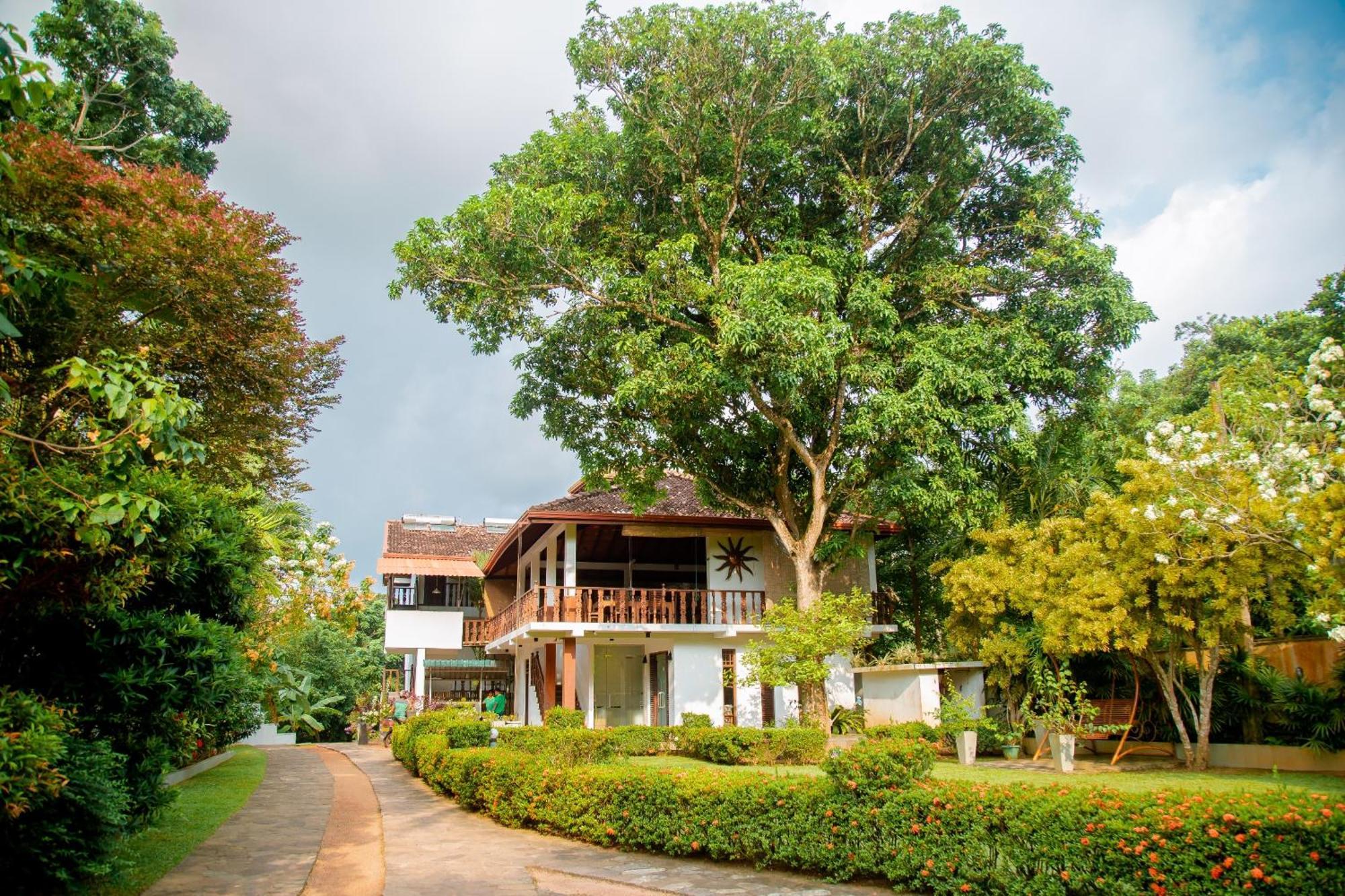 Rockery Villa Ayurveda Bentota Exteriér fotografie