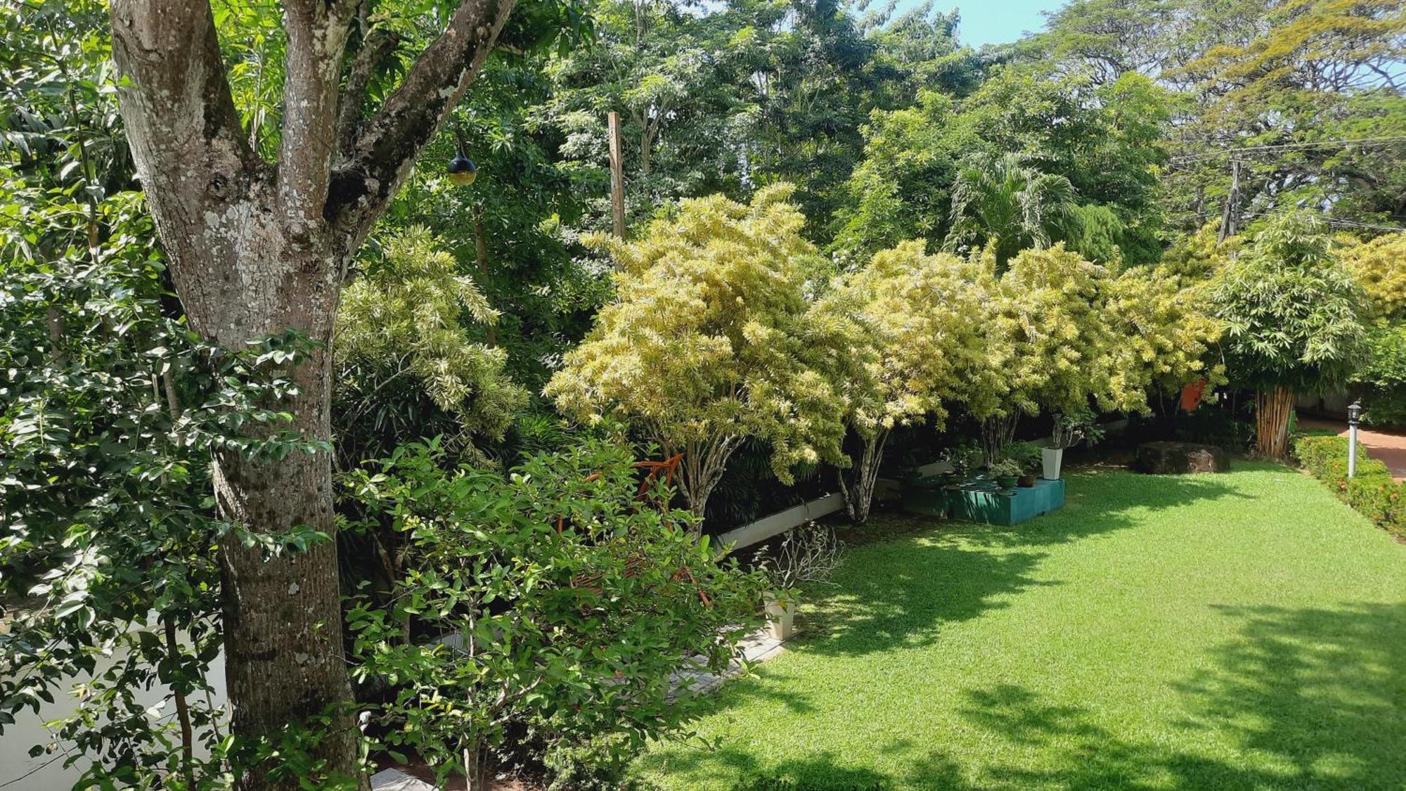 Rockery Villa Ayurveda Bentota Exteriér fotografie