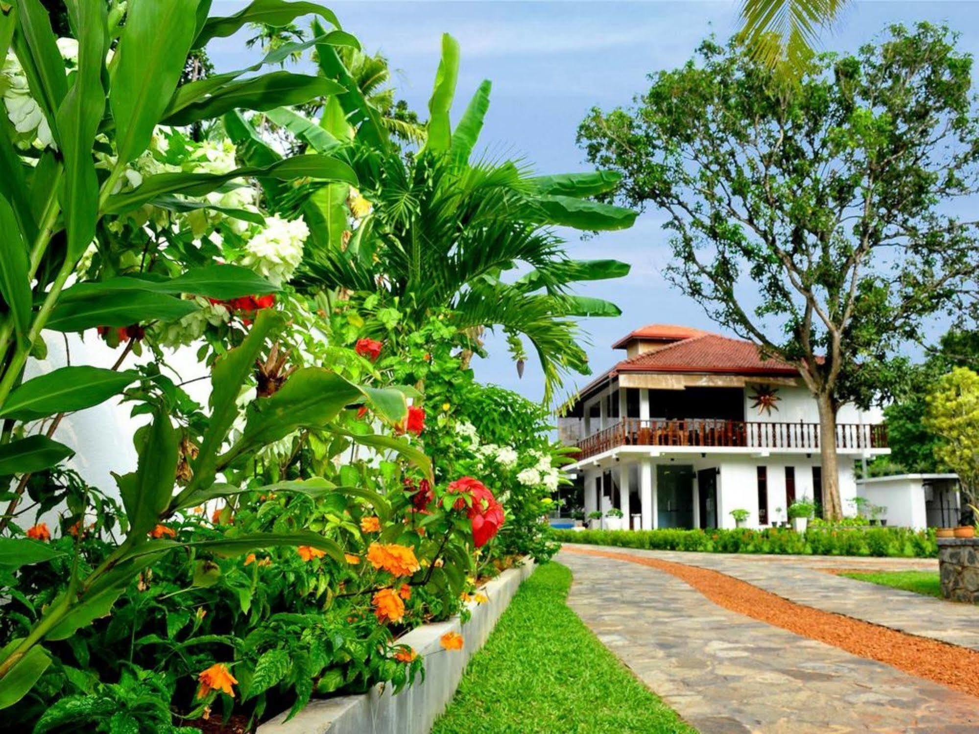 Rockery Villa Ayurveda Bentota Exteriér fotografie